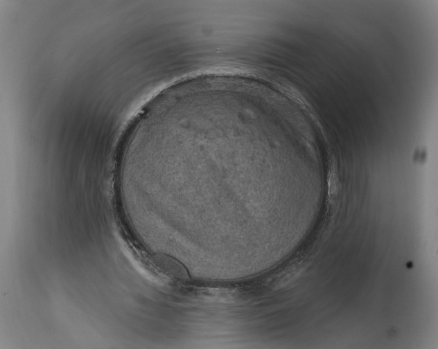 X0000114650436200911101324