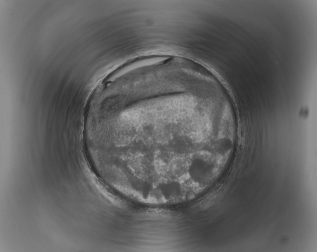 X0000114650437200911101324