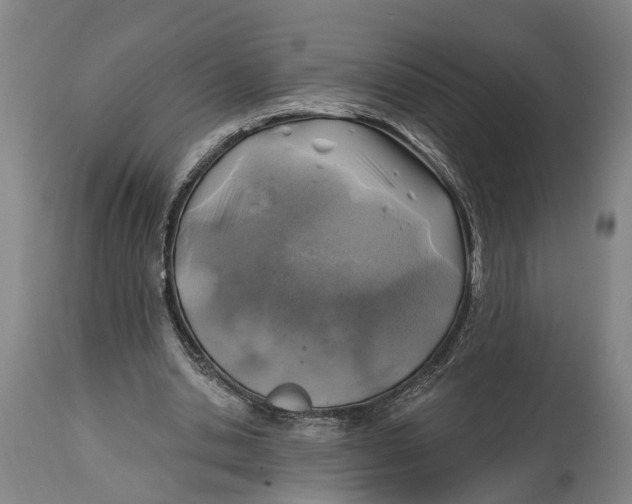 X0000114650438200911101324