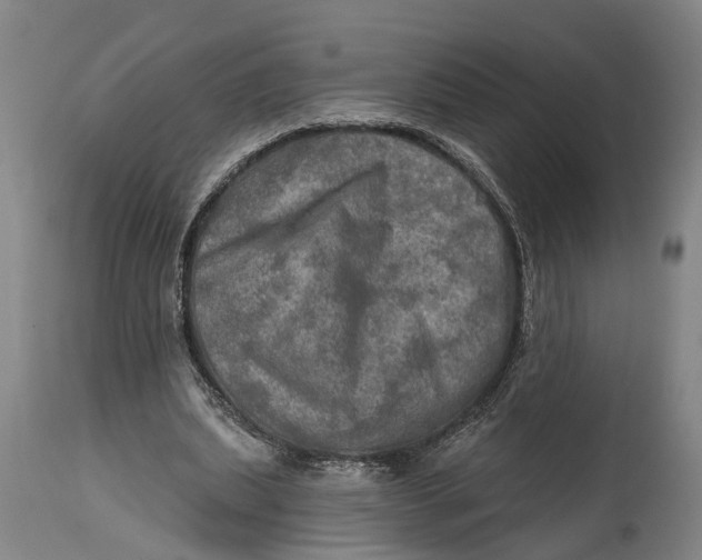 X0000114650439200911101324