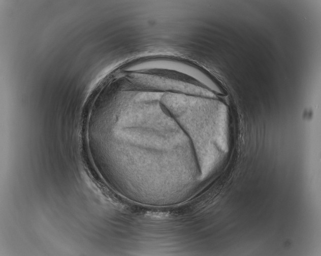 X0000114650440200911101324