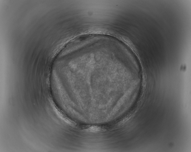 X0000114650441200911101324