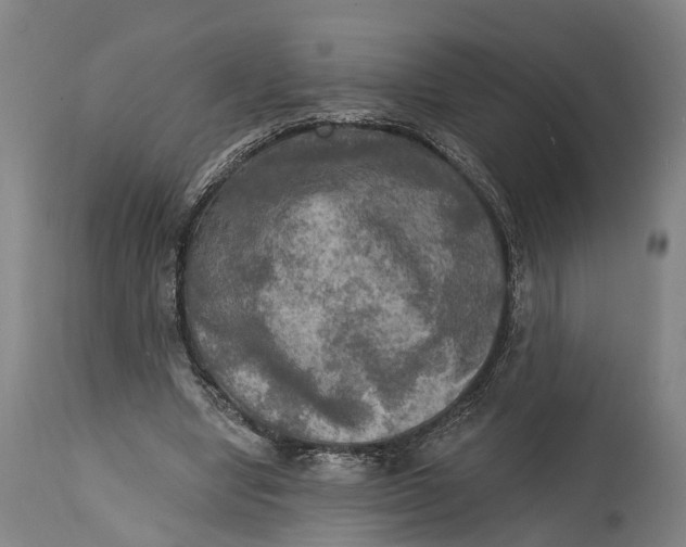 X0000114650442200911101324