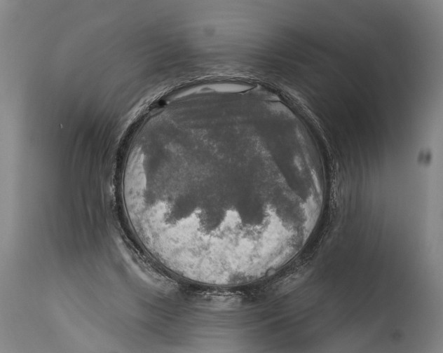 X0000114650443200911101324