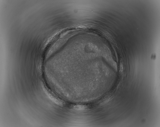 X0000114650444200911101324