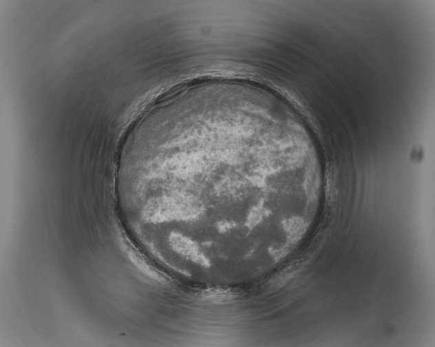 X0000114650445200911101324