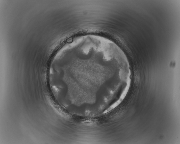 X0000114650447200911101324