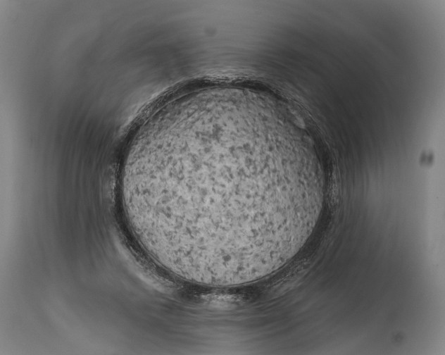 X0000114650448200911101324