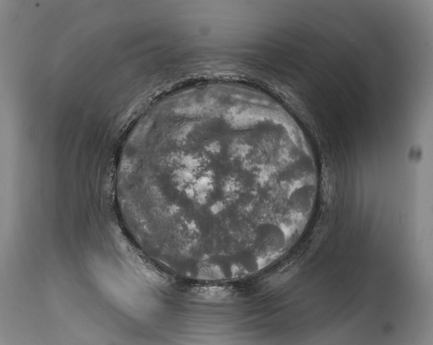 X0000114650449200911101324