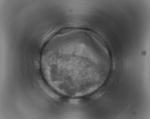 X0000114650450200911101324