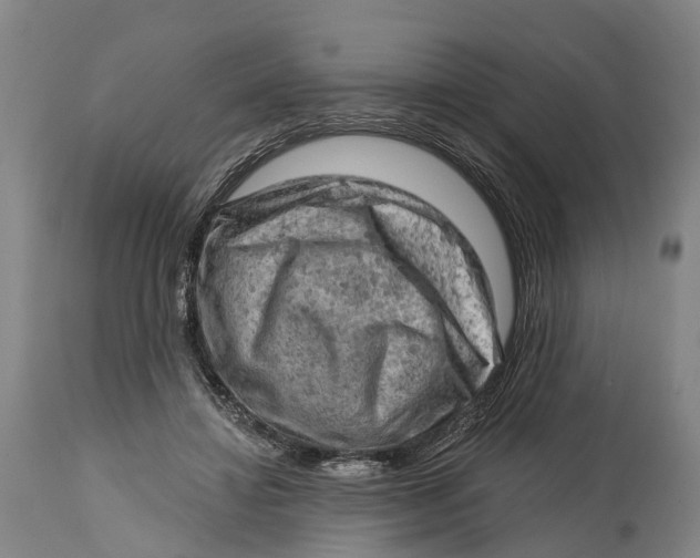 X0000114650452200911101324