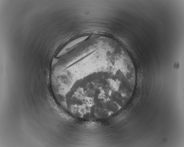 X0000114650453200911101324