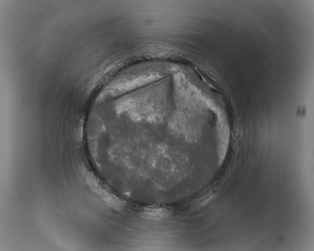 X0000114650454200911101324