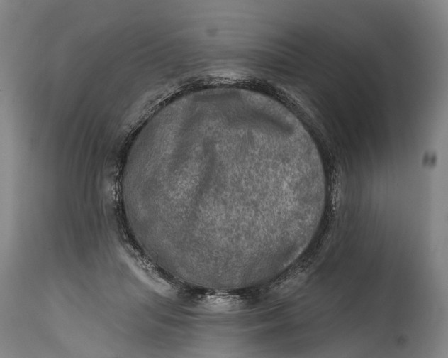 X0000114650455200911101324