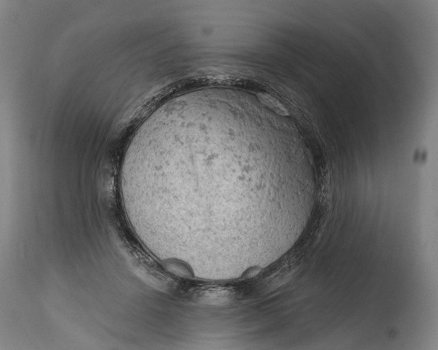 X0000114650456200911101324