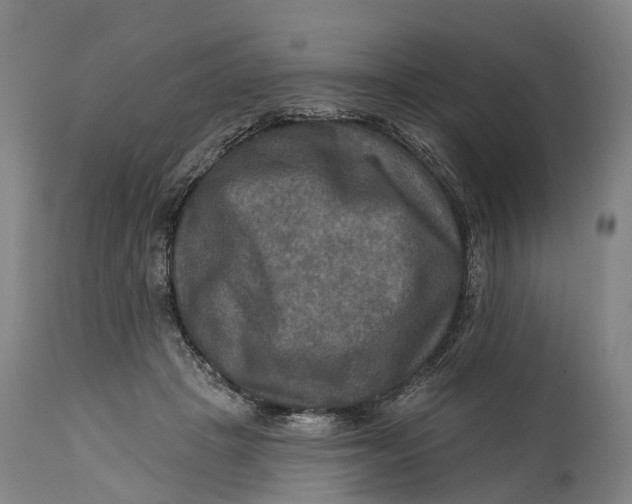 X0000114650457200911101324