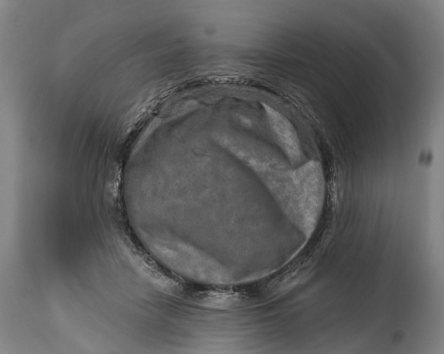 X0000114650458200911101324