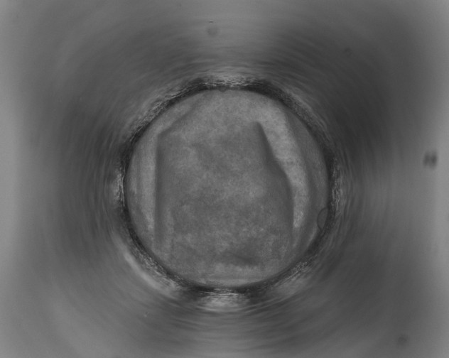 X0000114650459200911101324