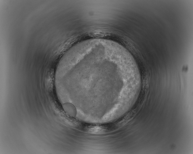 X0000114650460200911101324