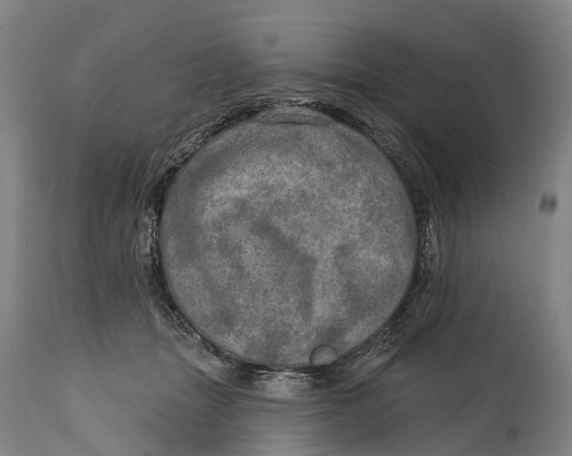 X0000114650463200911101324