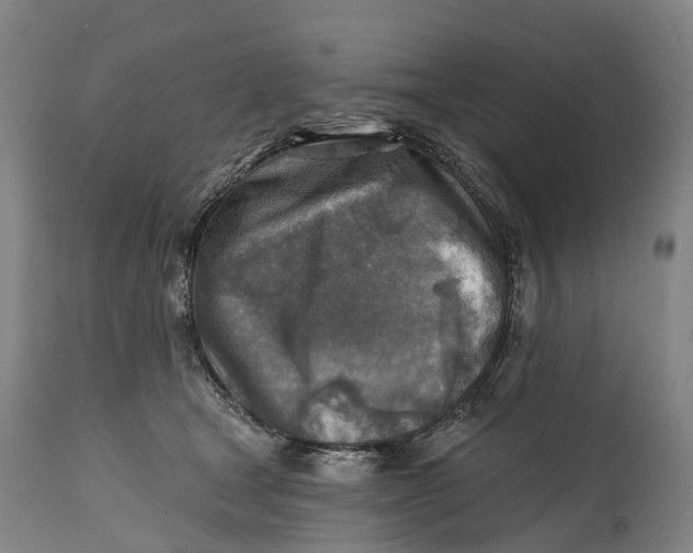 X0000114650465200911101324