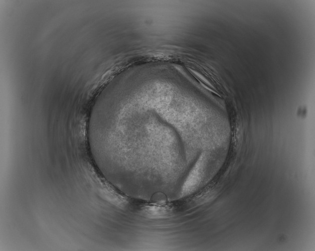 X0000114650466200911101324