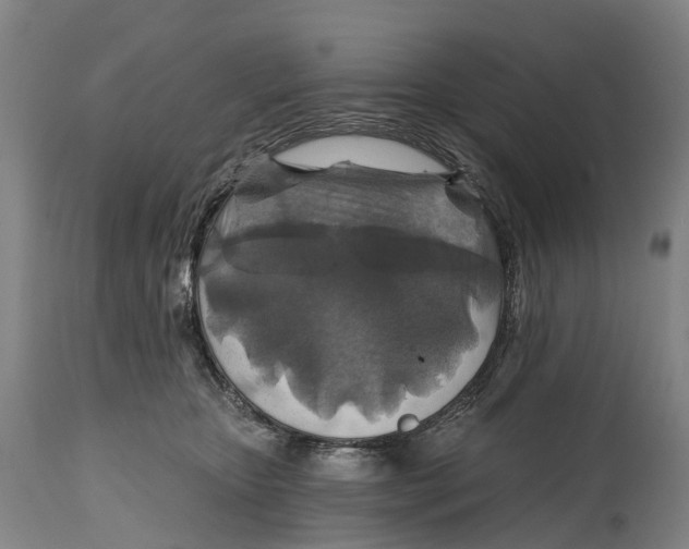 X0000114650467200911101324