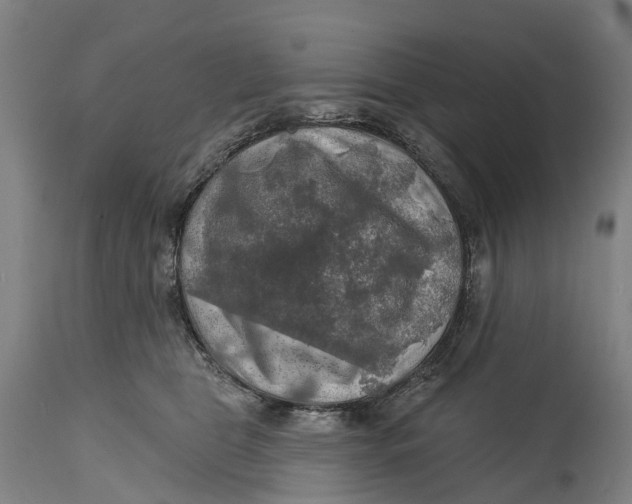 X0000114650469200911101325