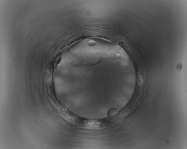 X0000114650471200911101325