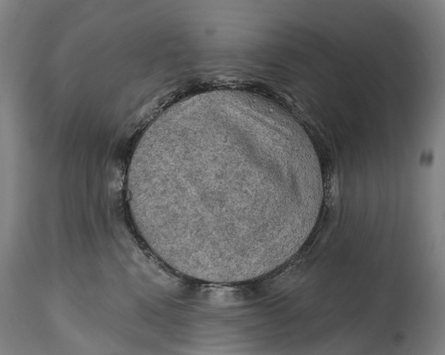 X0000114650472200911101325