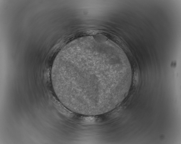 X0000114650473200911101325