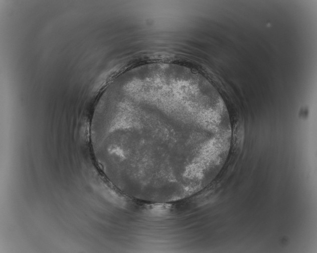 X0000114650474200911101325