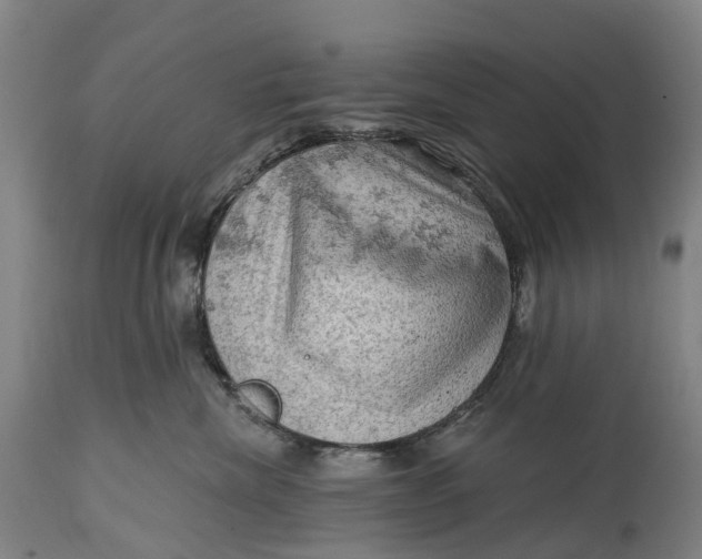 X0000114650476200911101325