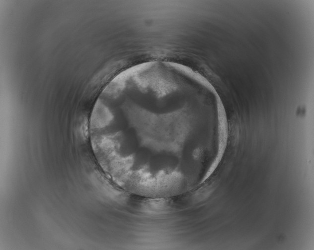 X0000114650479200911101325