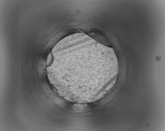 X0000114650480200911101325