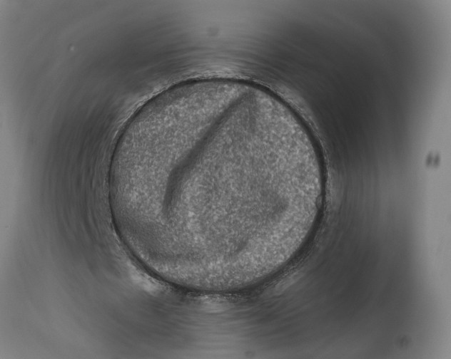 X0000114650481200911101324