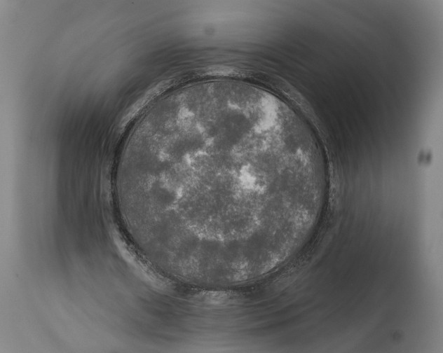 X0000114650482200911101324