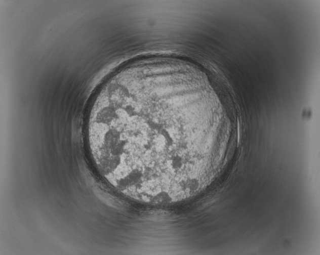 X0000114650483200911101324