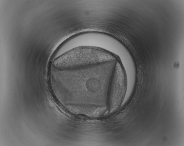 X0000114650484200911101324