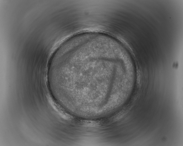 X0000114650486200911101324