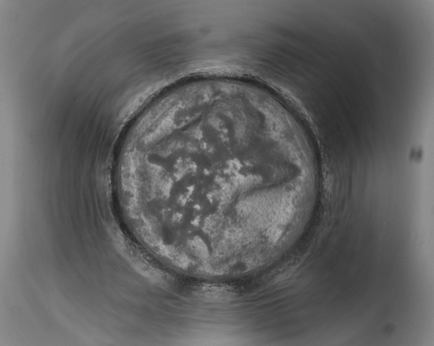 X0000114650487200911101324