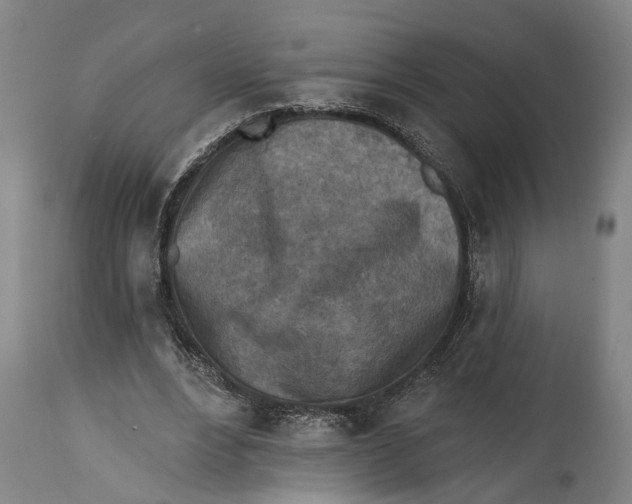 X0000114650488200911101324