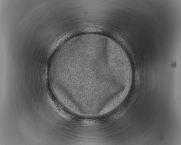 X0000114650490200911101324