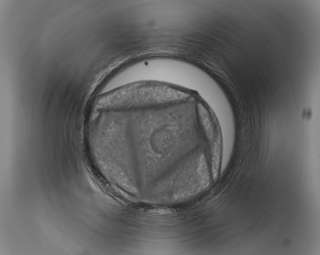 X0000114650492200911101324