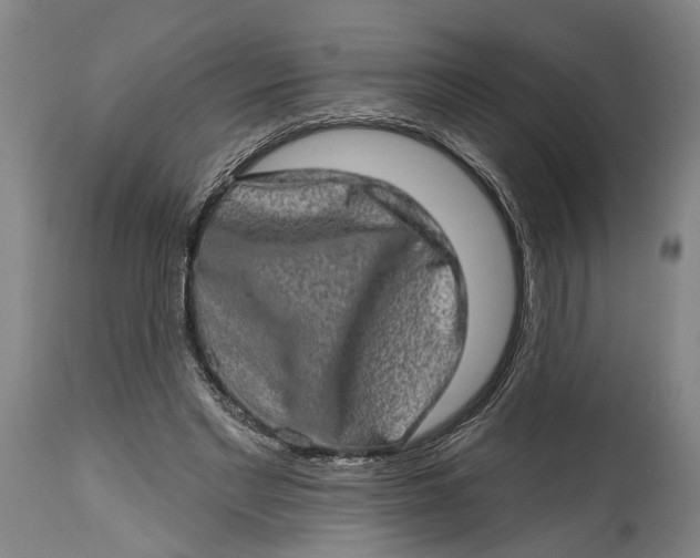 X0000114650493200911101324