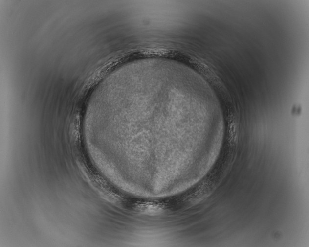 X0000114650498200911101324