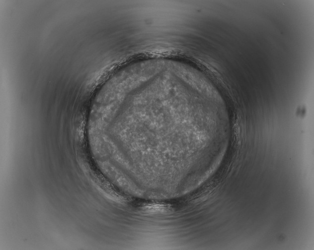 X0000114650499200911101324