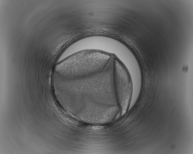 X0000114650501200911101324