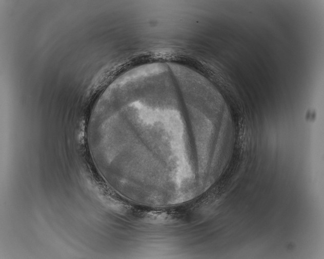 X0000114650502200911101324