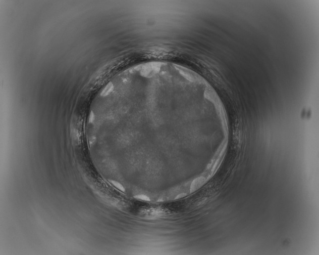 X0000114650503200911101324